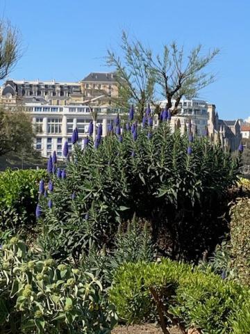 Waikiki Lägenhet Biarritz Exteriör bild