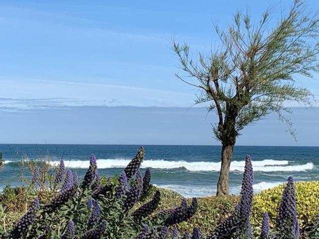 Waikiki Lägenhet Biarritz Exteriör bild
